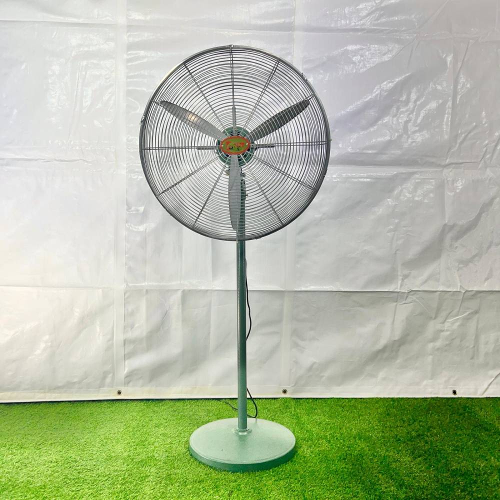 Standing Fan